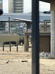 天王寺動物園に投稿された画像（2026/5/4）