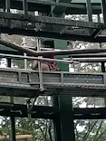 千葉市動物公園に投稿された画像（2026/5/4）