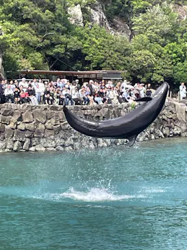 太地町立くじらの博物館に投稿された画像（2026/5/4）