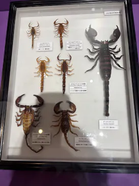 特別展「超危険生物展　科学で挑む生き物の本気」に投稿された画像（2026/5/4）