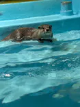竹島水族館に投稿された画像（2026/5/4）