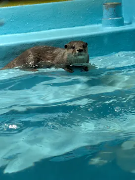 竹島水族館に投稿された画像（2026/5/4）