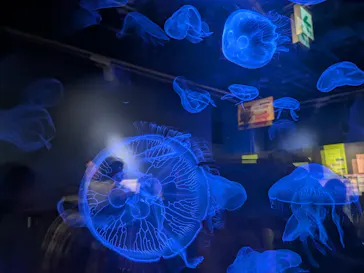 竹島水族館に投稿された画像（2026/5/4）