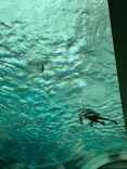 名古屋港水族館に投稿された画像（2026/5/4）