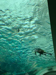 名古屋港水族館に投稿された画像（2026/5/4）