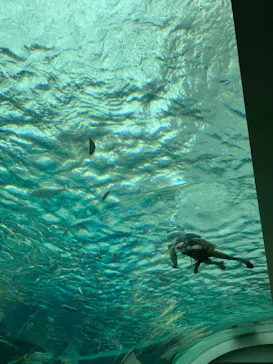 名古屋港水族館に投稿された画像（2026/5/4）