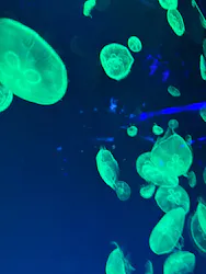 名古屋港水族館に投稿された画像（2026/5/4）
