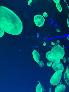 名古屋港水族館に投稿された画像（2026/5/4）