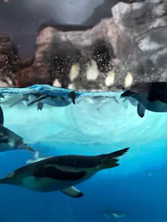 名古屋港水族館に投稿された画像（2026/5/4）