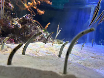 名古屋港水族館に投稿された画像（2026/5/4）