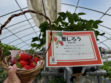 ニューベリーに投稿された画像（2026/5/4）