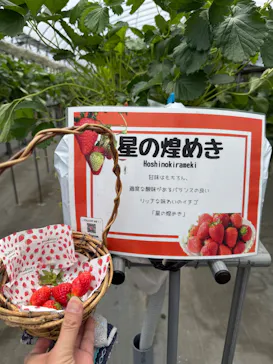 ニューベリーに投稿された画像（2026/5/4）