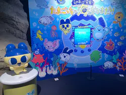 新江ノ島水族館に投稿された画像（2026/5/4）