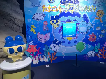 新江ノ島水族館に投稿された画像（2026/5/4）