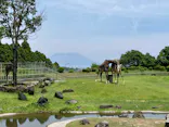 鹿児島市平川動物公園に投稿された画像（2026/5/4）