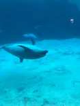 名古屋港水族館に投稿された画像（2026/5/4）