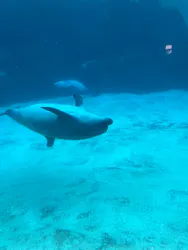 名古屋港水族館に投稿された画像（2026/5/4）