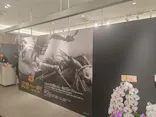 武豊 デビュー40年 ～前人未到の記録～　（銀座三越）に投稿された画像（2026/5/4）