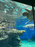 名古屋港水族館に投稿された画像（2026/5/4）