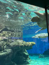 名古屋港水族館に投稿された画像（2026/5/4）