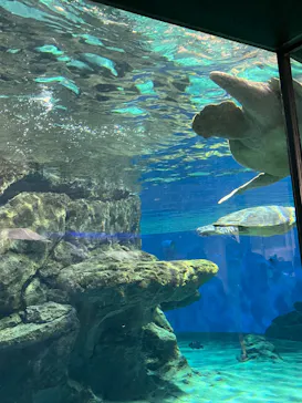 名古屋港水族館に投稿された画像（2026/5/4）