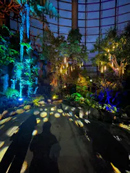BOTANICA MUSEUMに投稿された画像（2026/5/4）