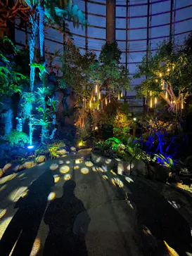 BOTANICA MUSEUMに投稿された画像（2026/5/4）