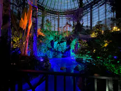 BOTANICA MUSEUMに投稿された画像（2026/5/4）