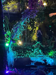 BOTANICA MUSEUMに投稿された画像（2026/5/4）
