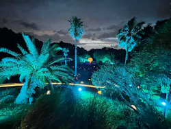 BOTANICA MUSEUMに投稿された画像（2026/5/4）