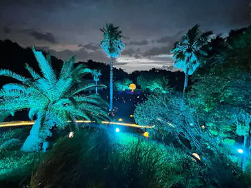BOTANICA MUSEUMに投稿された画像（2026/5/4）