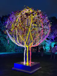 BOTANICA MUSEUMに投稿された画像（2026/5/4）
