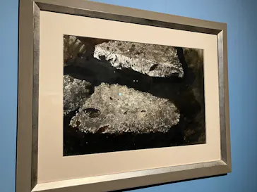東京都美術館開館100周年記念　アンドリュー・ワイエス展に投稿された画像（2026/5/4）
