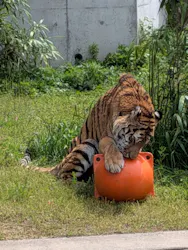 天王寺動物園に投稿された画像（2026/5/4）