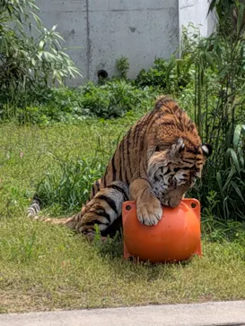 天王寺動物園に投稿された画像（2026/5/4）