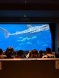 沖縄美ら海水族館に投稿された画像（2026/5/4）