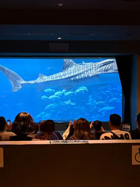 沖縄美ら海水族館に投稿された画像（2026/5/4）