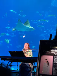 沖縄美ら海水族館に投稿された画像（2026/5/4）