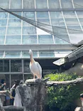 神戸どうぶつ王国に投稿された画像（2026/5/4）