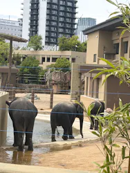 天王寺動物園に投稿された画像（2026/5/4）