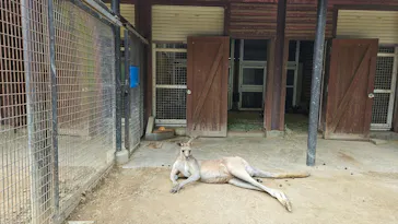 こども動物自然公園（埼玉県公園緑地協会）に投稿された画像（2026/5/4）