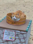 備北タクシー高梁営業所に投稿された画像（2026/5/4）