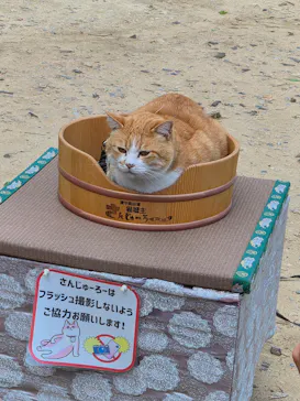 備北タクシー高梁営業所に投稿された画像（2026/5/4）