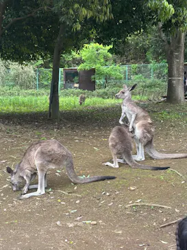 こども動物自然公園（埼玉県公園緑地協会）に投稿された画像（2026/5/4）
