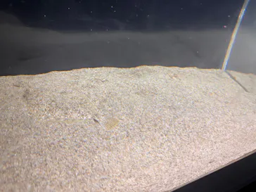 のとじま水族館に投稿された画像（2026/5/4）