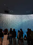 名古屋港水族館に投稿された画像（2026/5/4）