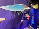 大絶滅展ー生命史のビッグファイブ（名古屋会場）に投稿された画像（2026/5/4）