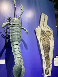 大絶滅展ー生命史のビッグファイブ（名古屋会場）に投稿された画像（2026/5/4）
