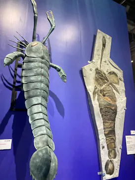大絶滅展ー生命史のビッグファイブ（名古屋会場）に投稿された画像（2026/5/4）