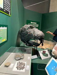大絶滅展ー生命史のビッグファイブ（名古屋会場）に投稿された画像（2026/5/4）